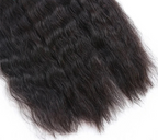 Wet & Wavy Bulk Human Hair for Braiding – Double Drawn Curly No-Weft Hair for Boho Braid